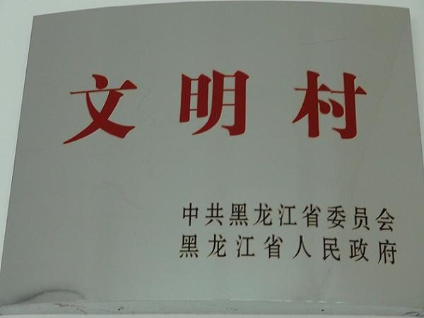 2013年黑龙江省文明村